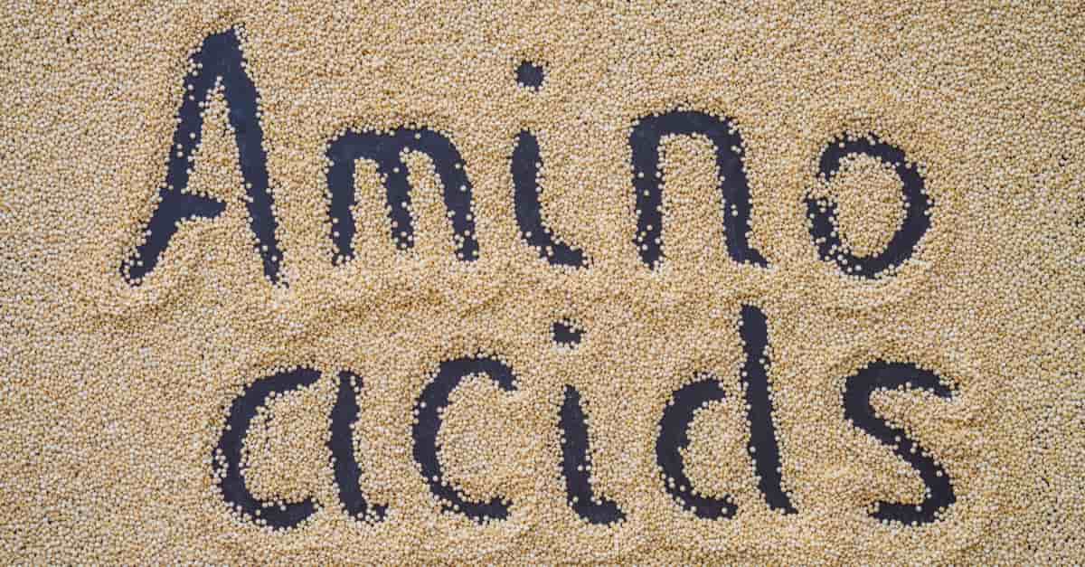 amino-acids