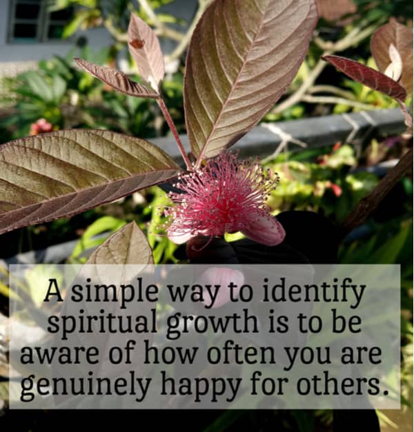 awakening-spirituality