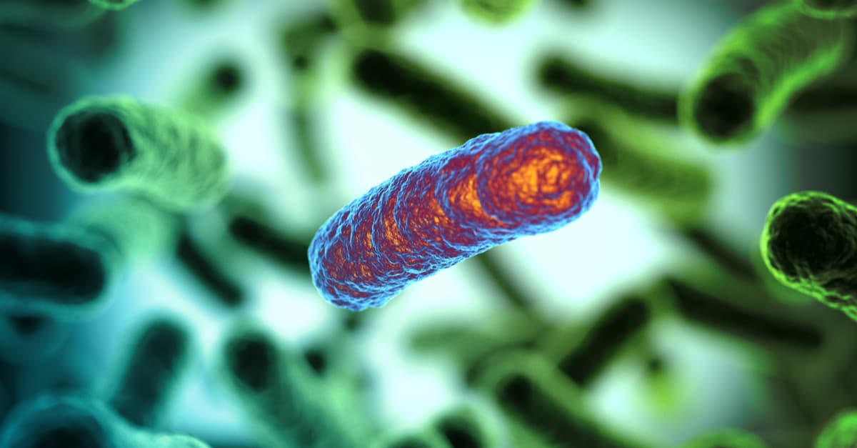 bacteria-mutations