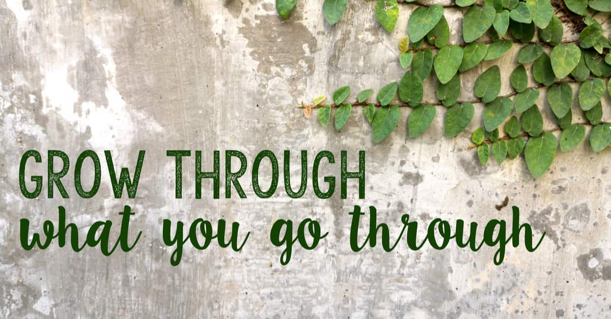 grow-through-go-through