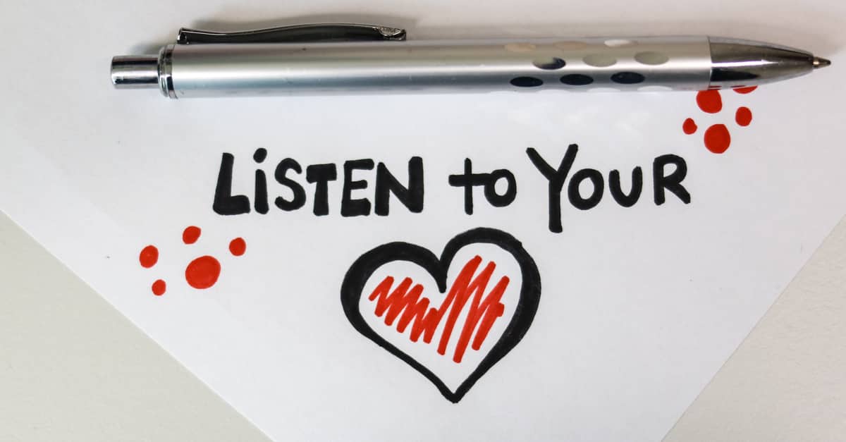 listen-to-your-heart