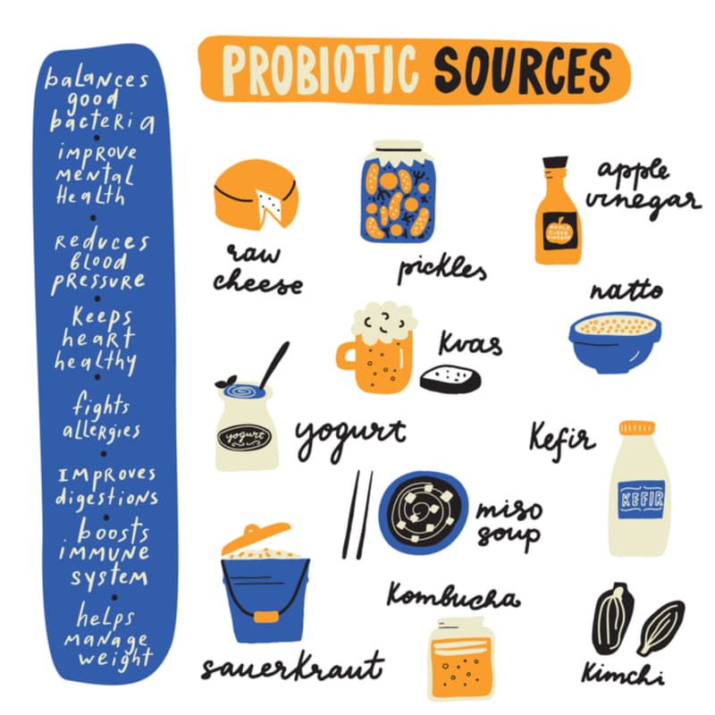 probiotic-sources