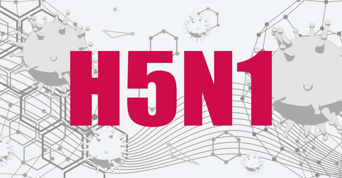 H5N1-bird-flu