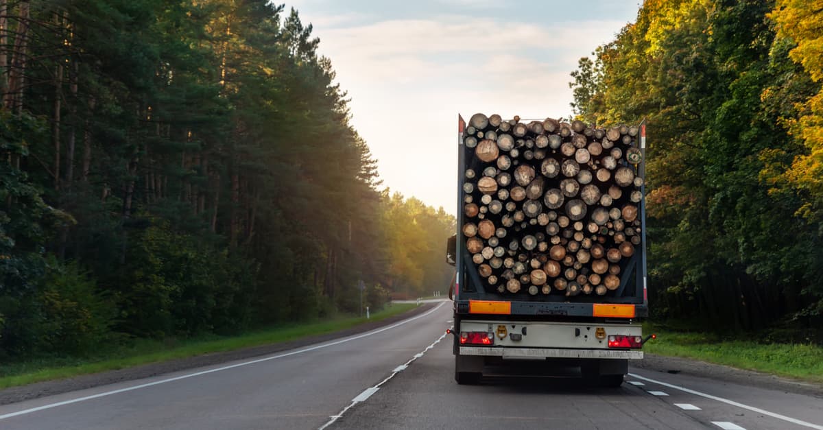 a-lorry-transporting-logs