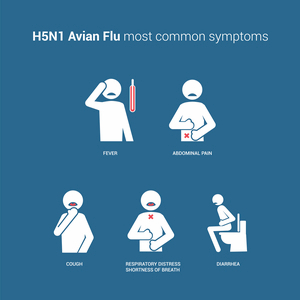 bird-flu-most-common-symptoms