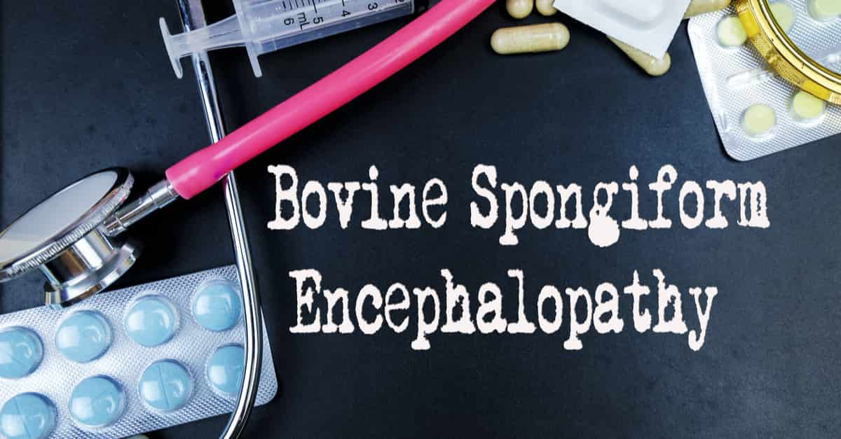 bovine-spongiform-encephalopathy