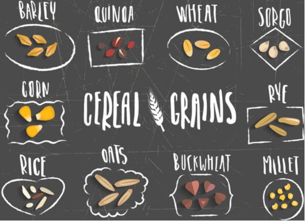 know-your-grains